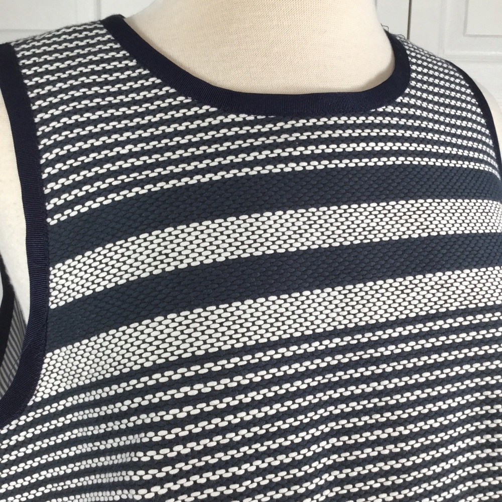 J. Crew Striped Sheath Dress - Navy & White - Picture 4 of 8